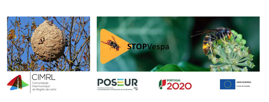 STOPvespa_RL – Plano intermunicipal de prevenção e controlo da vespa velutina na Região de Leiria – resultados da operação