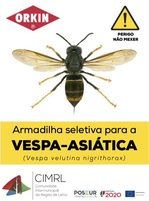 Instalação de armadilhas seletivas para captura de VESPA ASIÁTICA na Região de Leiria – Informação ao público 